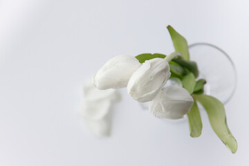 bouquet of white tulips in a transparent vase on a white background