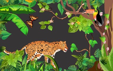 Jungle wildlife illustration. jaguar. toucan. in the jungle. tropical plants and animals, vector