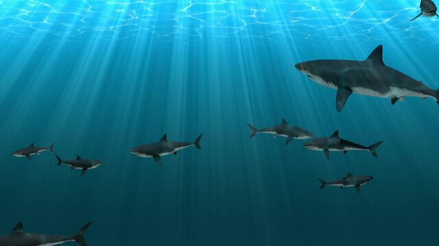 3D image of a group of sharks underwater