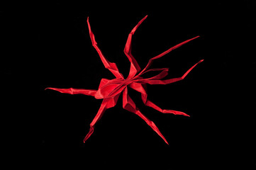 paper origami red spider isolated dark