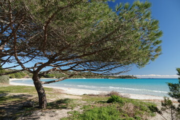 La plage de Santa Giulia en Corse