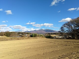 landscape in the desert