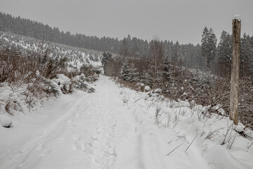Wege durch verschneiten Winterwald