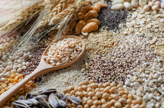 Closed up dry organic wheat seeds in wooden spoon on variety kinds of natural cereal and grain seeds background in soft brown tone