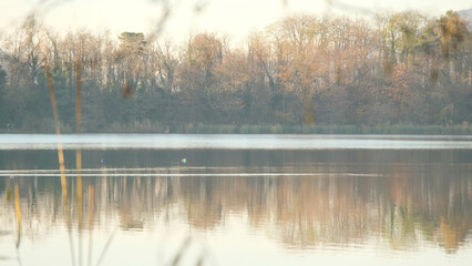 Il lago di Montorfano in provincia di Como in una giornata d'inverno.