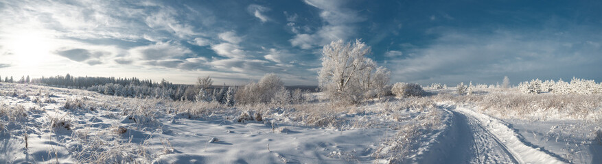 Snowy road at  winter Stone Hill park in frosty sunny evening. Winter country road with fir forest in the rays of cold winter Sun.