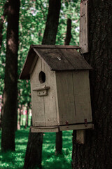 wooden bird house