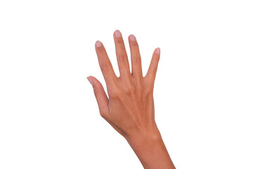 Fototapeta premium hand woman isolated on white background.