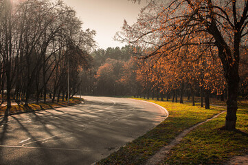 Fototapeta premium The road through the autumn forest