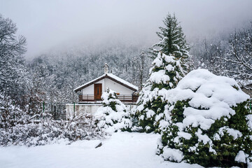 Small and cozy lodge covered in snow and surrounded by fir trees forest.
