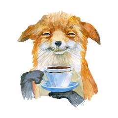 Cute little fox with a cup of coffee in his paws © publiy