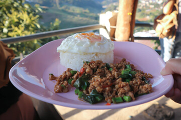 stir fried pork with holy basil and cow pea, fried egg