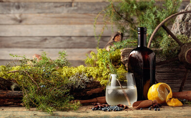 Gin-tonic cocktail with ice and a sprig of rosemary.