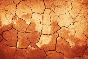 The background depicts arid, dead, cracked earth in a hot desert, illuminated by bright sunlight. Wasteland and radiation.