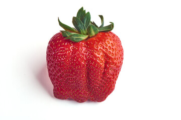 Close-up on an ugly strawberry on white background