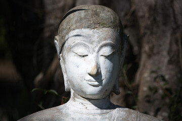 Fototapeta na wymiar Buddha face. Buddha statue. Head of Buddha