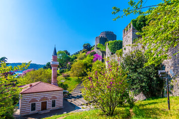 Rumeli Hisari Castle  view in Istanbul © nejdetduzen