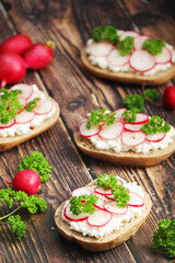 Sandwiches with fresh radishes and cotton cheese