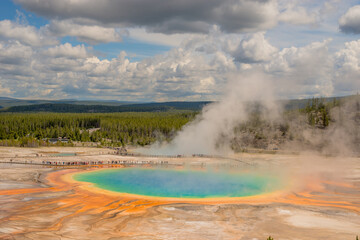 the natural park of Yellowstone in Usa