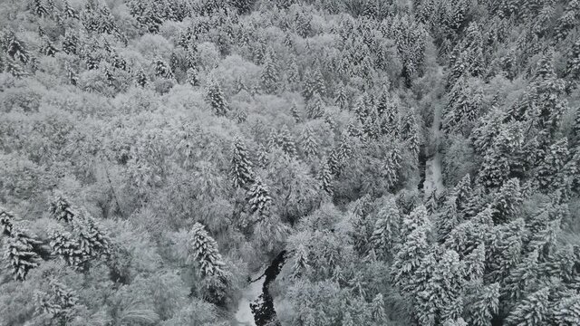 Aerial view of a frozen forest with snow covered trees at winter. Flight above winter forest in Finland, top view.