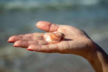Shell in the hand of a man