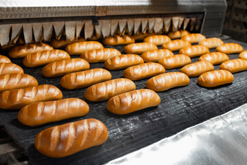 The oven in the bakery. Hot fresh bread leaves the industrial oven in a bakery. Automatic bread production line