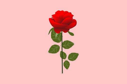 illustration of single red rose flower with stem and leaves with colorful background vector. 
