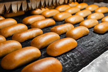 The oven in the bakery. Hot fresh bread leaves the industrial oven in a bakery. Automatic bread production line