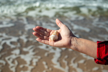 Shell in the hand of a man