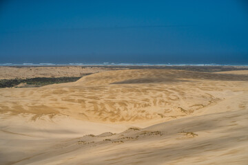 sand dunes in the desert