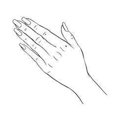 Hand gestures outline vector illustration. Women's girl's female palm drawing.