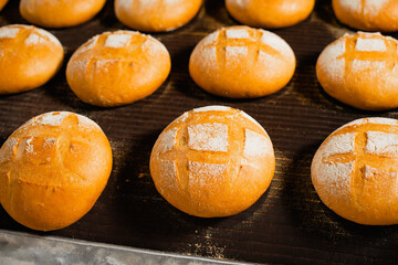 The oven in the bakery. Hot fresh bread leaves the industrial oven in a bakery. Automatic bread production line