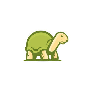 turtle vector logo on white