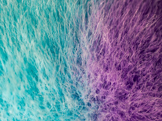 abstract background of fabric