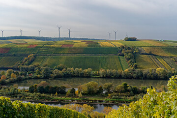 Landschaft und Weinberge bei Stammheim, Landkreis Schweinfurt, Unterfranken, Franken,  Bayern,...