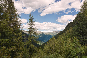 Fototapeta na wymiar paesaggio montagna estate 