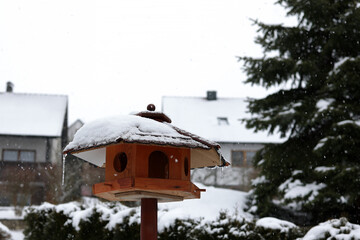 Bird houses and feeders in the park in winter