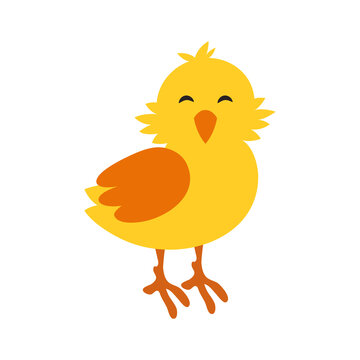 Funny yellow chicken. Vector illustration on white isolated background