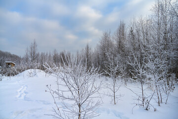 In winter, in the forest on the outskirts of the village after a heavy snowfall. Frosty winter day with soft blue sky and white soft clouds. Gentle pastel colors photo, Ural (Russia) 