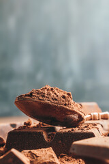Brown cocoa powder in the spoon and chopped chocolate cubes, on dark background with copy space