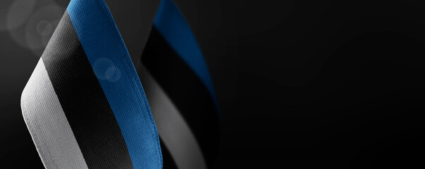 Small national flags of the Estonia on a dark background