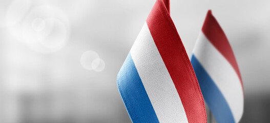 Small national flags of the Netherlands on a light blurry background