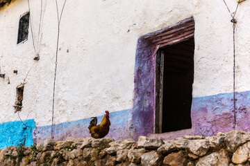 Vida rural en El Rif (Marruecos)