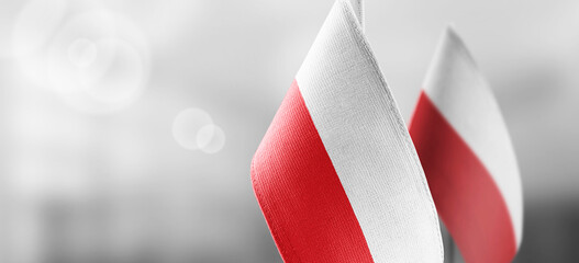 Small national flags of the Poland on a light blurry background