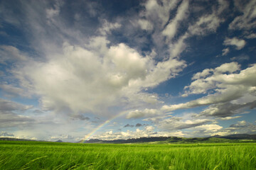 Fototapeta na wymiar Cielo con nubes y arco iris. Pradera y montañas.