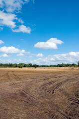 Fototapeta na wymiar Summertime bare landscape with field and clouds