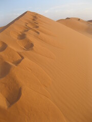 sand dunes in the desert