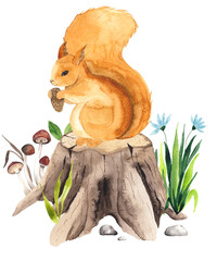 Watercolor woodland composition with cute  little Forest Animals for kids: squirrel, stump, mushrooms, flowers - 409436231