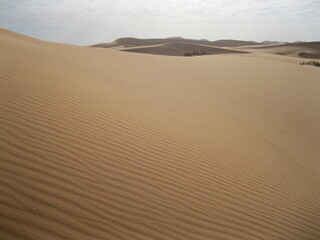desert sands
