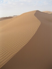 sand dunes in the desert
